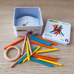 Early childhood cognitive toys