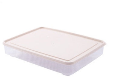 Transparent plastic egg carton