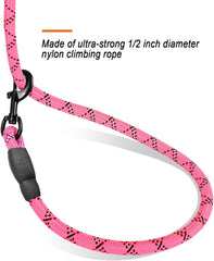 Dog Leashes For Large Dogs